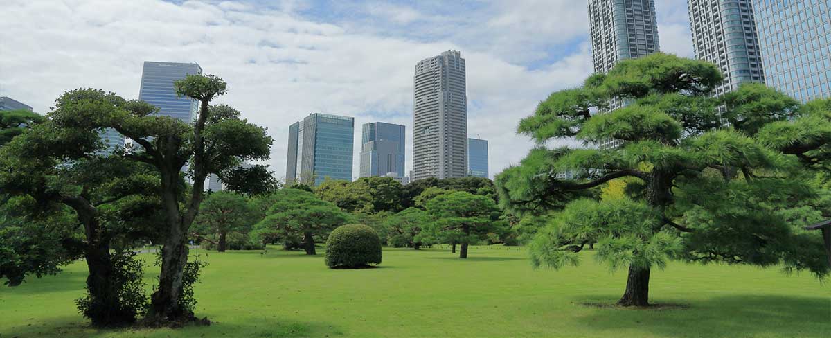 法人のお客さまへ